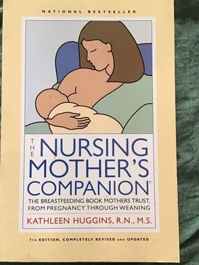 The Nursing Mother's Companion - Kathleen Huggins